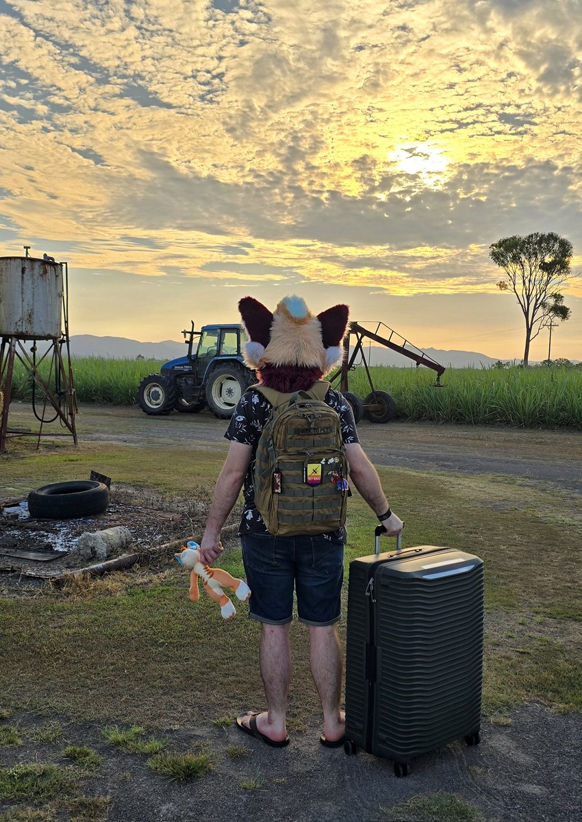 PascalWahhh's tweet image. Time for a trip.

#FursuitFriday #redpanda 
#wahworldwide