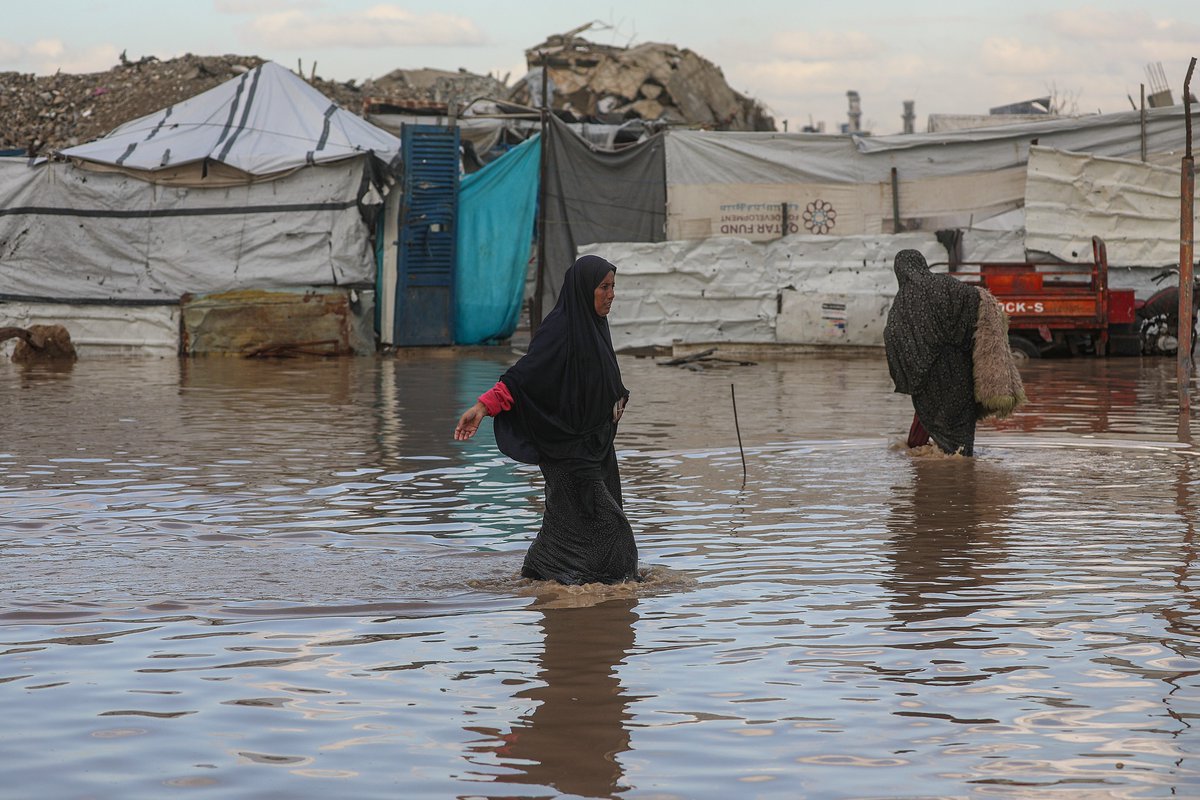 MuhammadSmiry's tweet image. Gaza, Palestine.