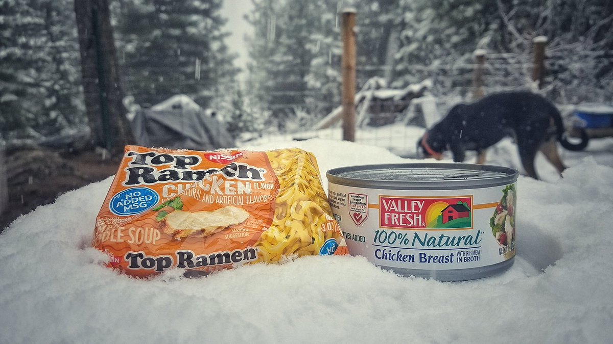 offgridwarrior's tweet image. Happy thanksgiving... today Ranger and I will eat like kings. #delusionalkings #mountainlife #offgrid #Thanksgiving2025