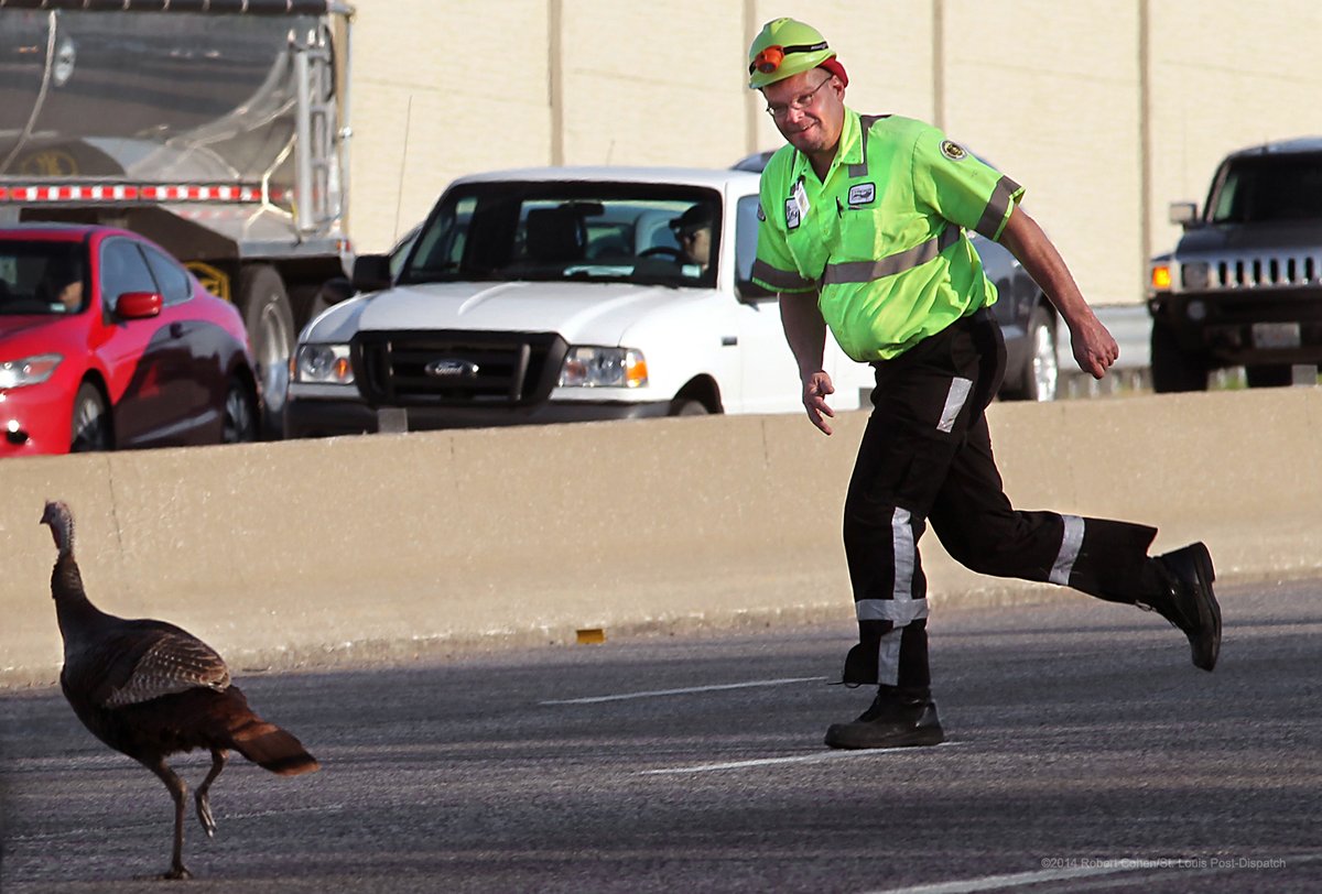 Robert Cohen tweet media