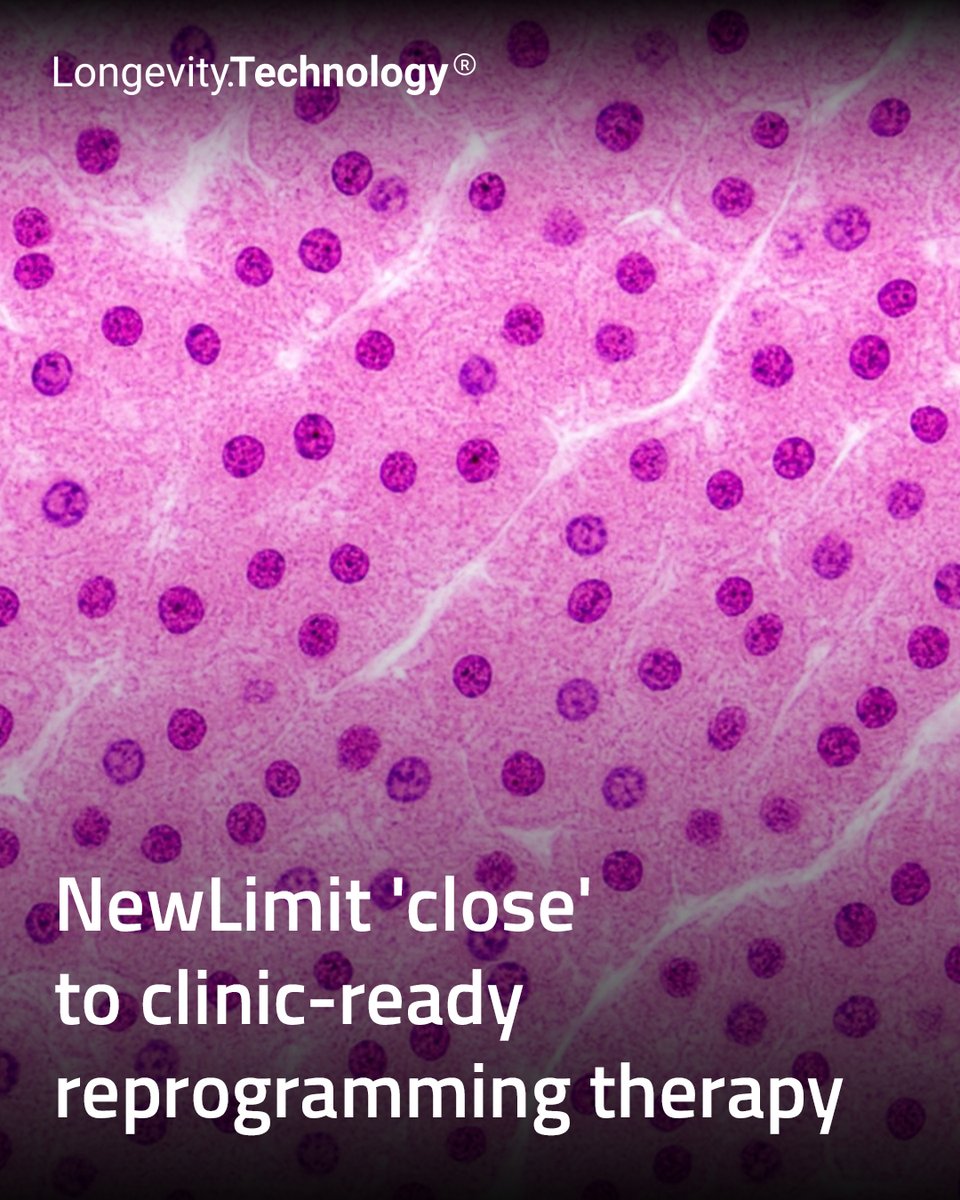 LongevityTech's tweet image. Liver rejuvenation program produces a ‘lead payload’ as biotech begins its journey towards human clinical trials.

longevity.technology/news/newlimit-…

#longevity #biotech #rejuvenation #epigenetics #reprogramming