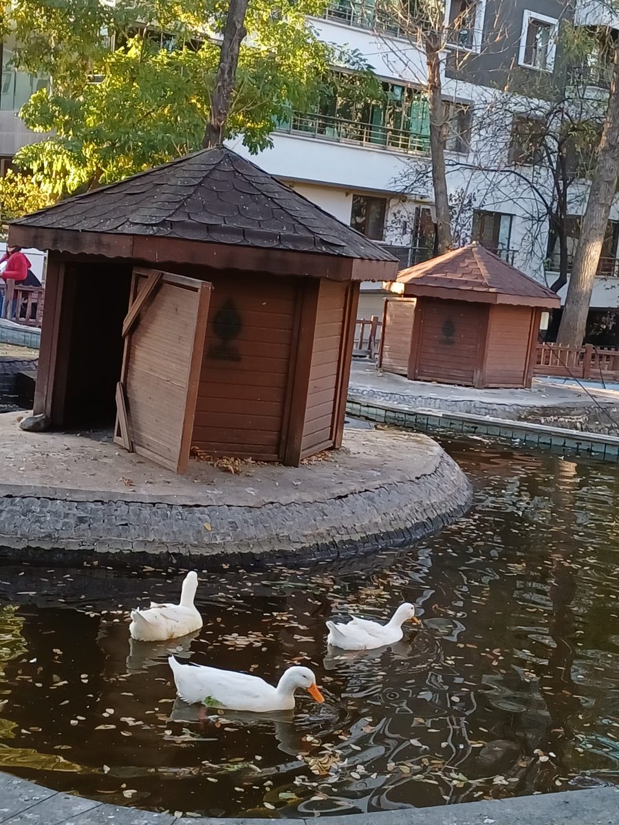 Müslüman, Müslümanın kardeşidir. Ona zulmetmez, onu yalnız bırakmaz, onu yalancı çıkarmaz, onu hakir görmez. Hz. Muhammed (s.a.v)
#Cuma