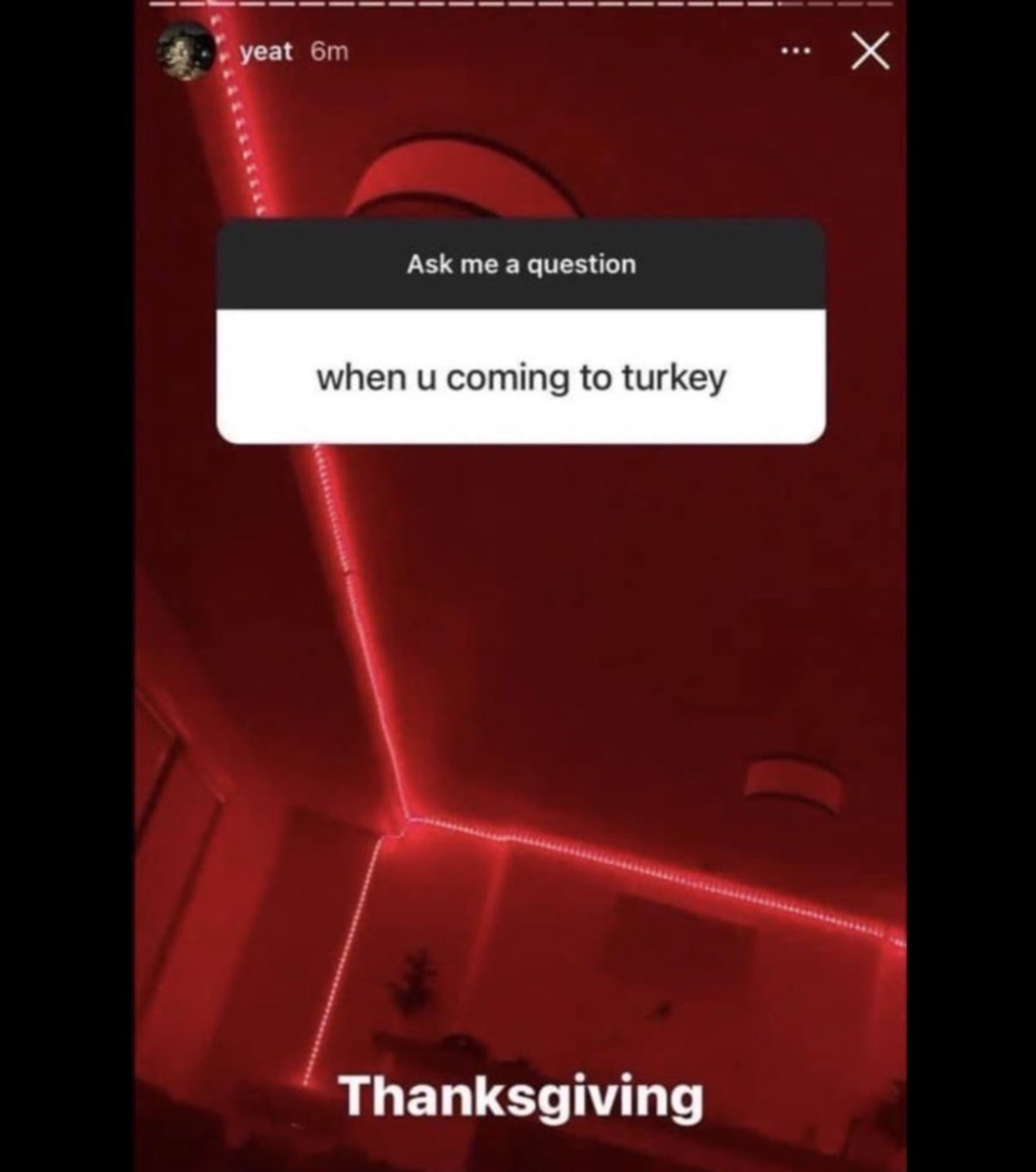 purplecoupes's tweet image. 