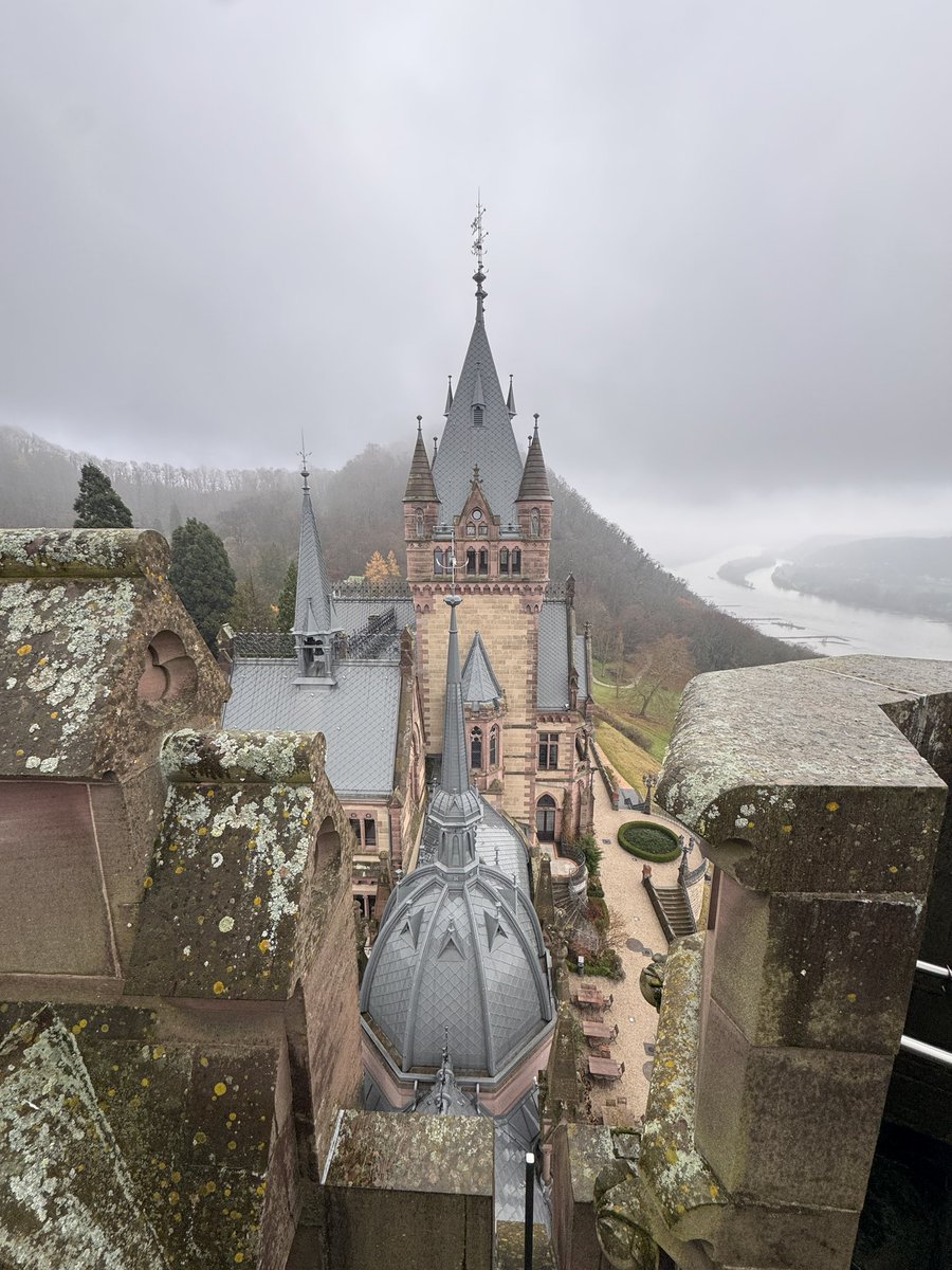 JasonSynaptic's tweet image. Got a snippet of German culture before I left for home!