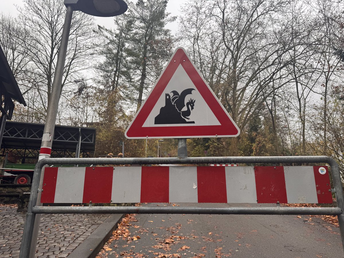 JasonSynaptic's tweet image. Got a snippet of German culture before I left for home!