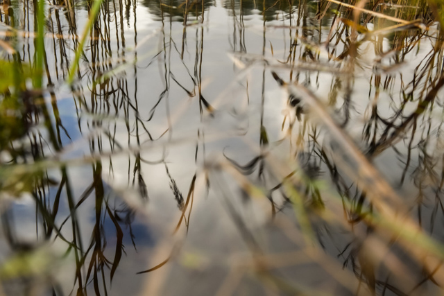 Dabasdati.lv tweet media