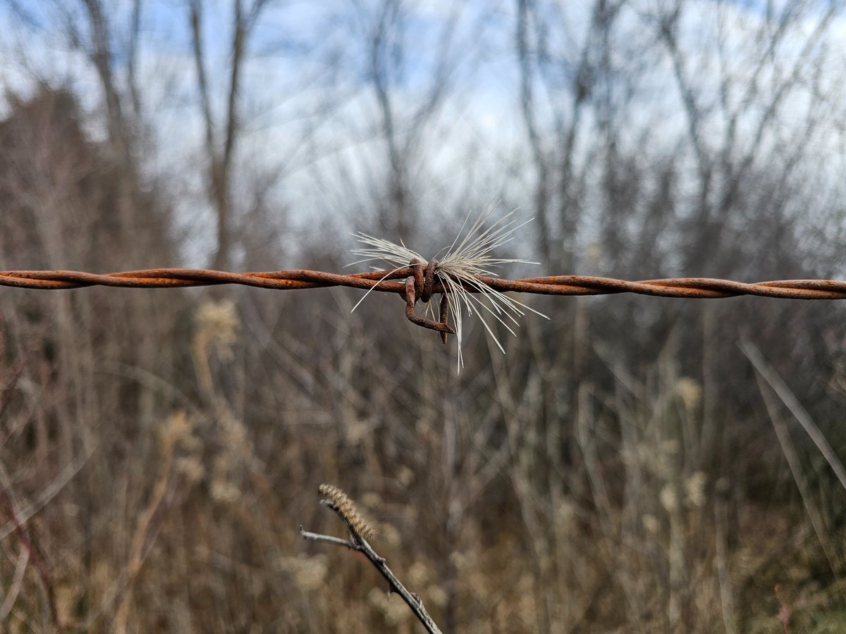 Jack Aubrey (@maineanjous) on Twitter photo 