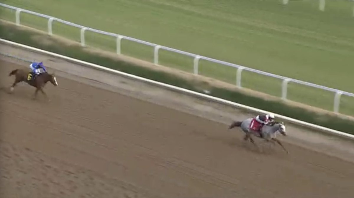 Joe Norris tweet media