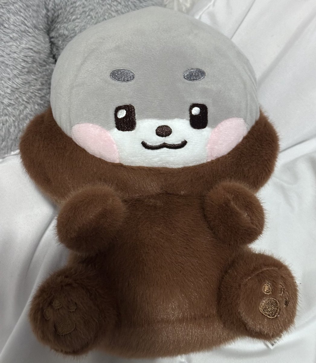 girIwook's tweet photo. today's happy mail (ᐡ⸝ɞ̴̶̷ ·̮ ɞ̴̶̷⸝ᐡ)  ⏝ི✿   ͚֯ 🤎.° ♫ https://t.co/7i9LE1C1LN