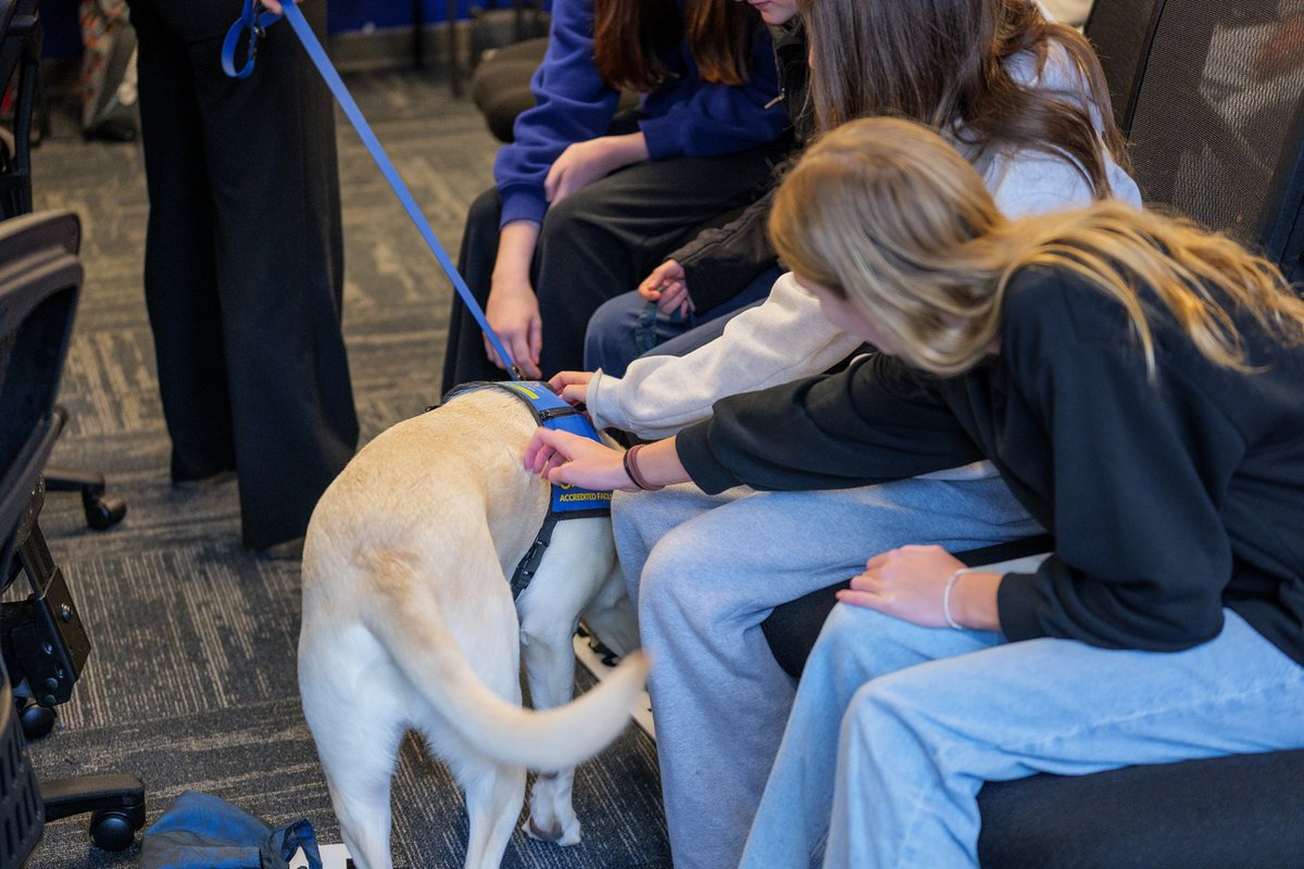 RidgeRCMP's tweet photo. It’s been one year since we’ve officially welcomed Loki, our Accredited Facility Dog, to #MapleRidge! Loki has proven an invaluable resource to our officers and @YourMapleRidge staff this past year.
Learn more: https://t.co/tmCjfdvNpt
#dogswithjobs #PADSDogs https://t.co/1qTsX0zbVL