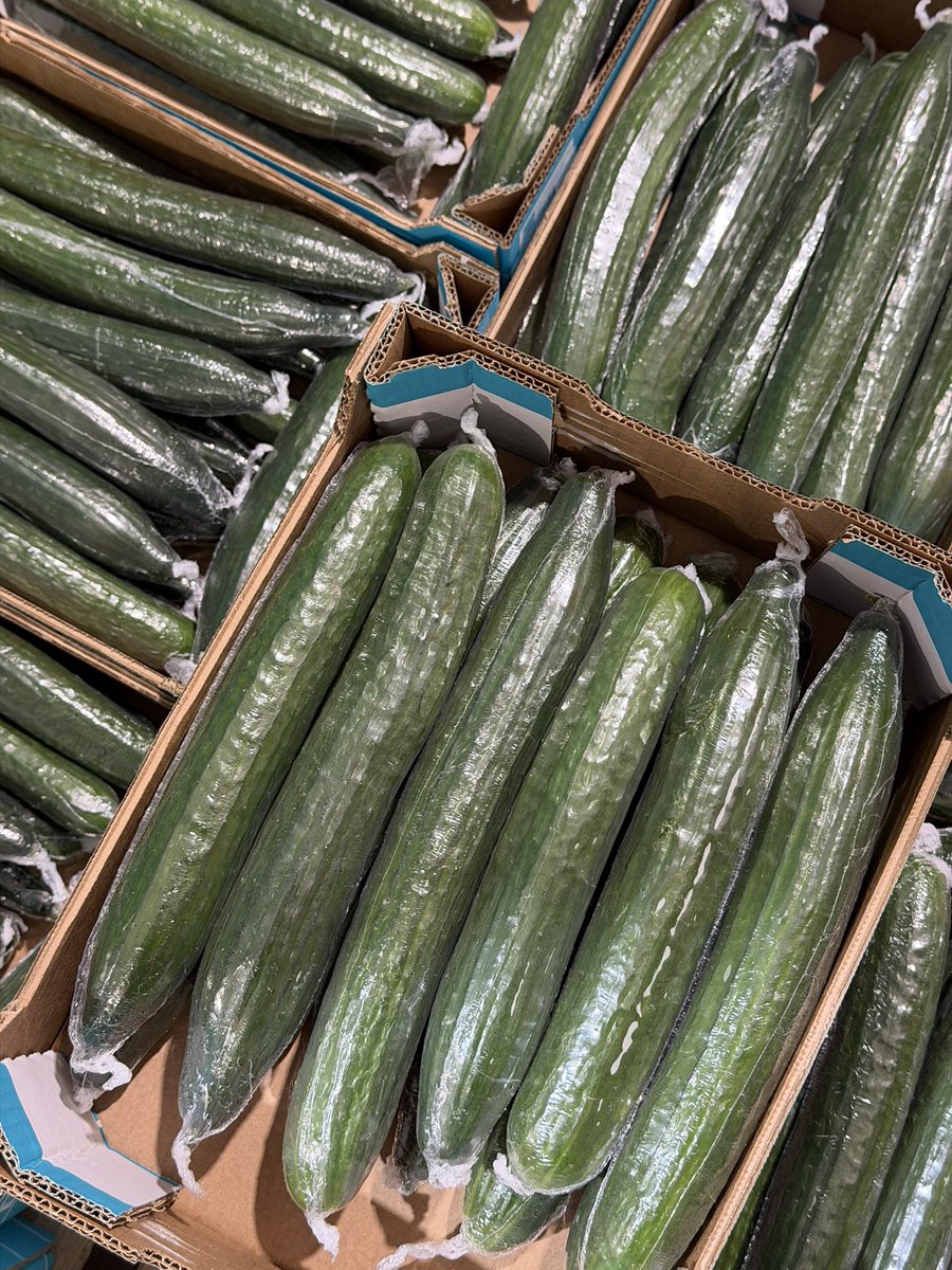 Fountain Fresh Imports (@fountainimports) on Twitter photo 