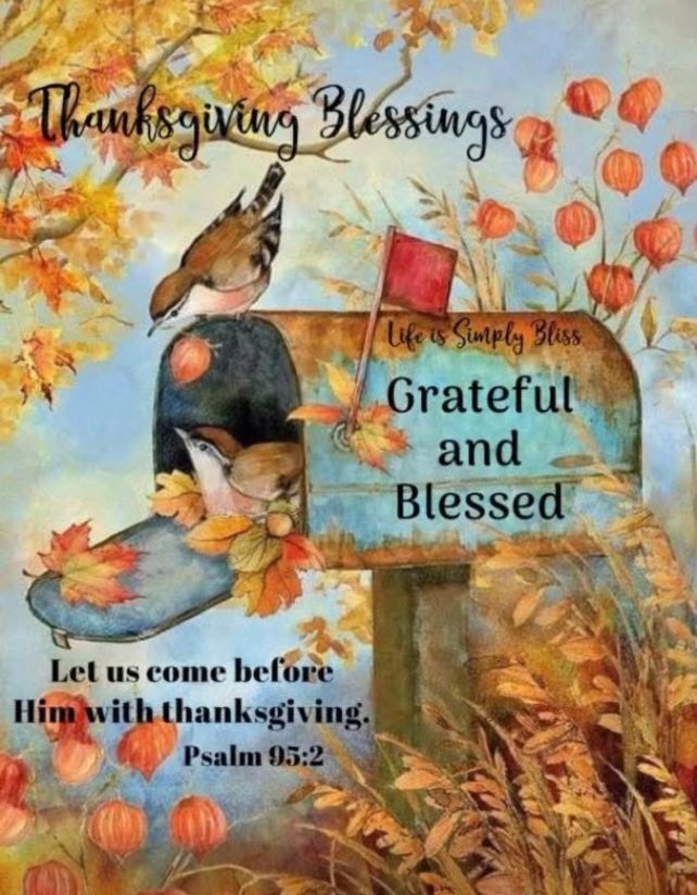 vanderwalmagic's tweet image. 