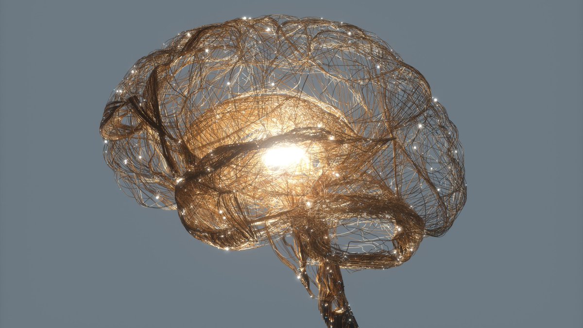 articleoutline's tweet image. Did you know human intelligence might have been inevitable? Neuroscientist Nikolay Kukushkin reveals why our brains are the natural result of evolution. 🧠🌍 #Evolution #ScienceFacts #HumanIntelligence

articleoutline.com/how-human-inte…