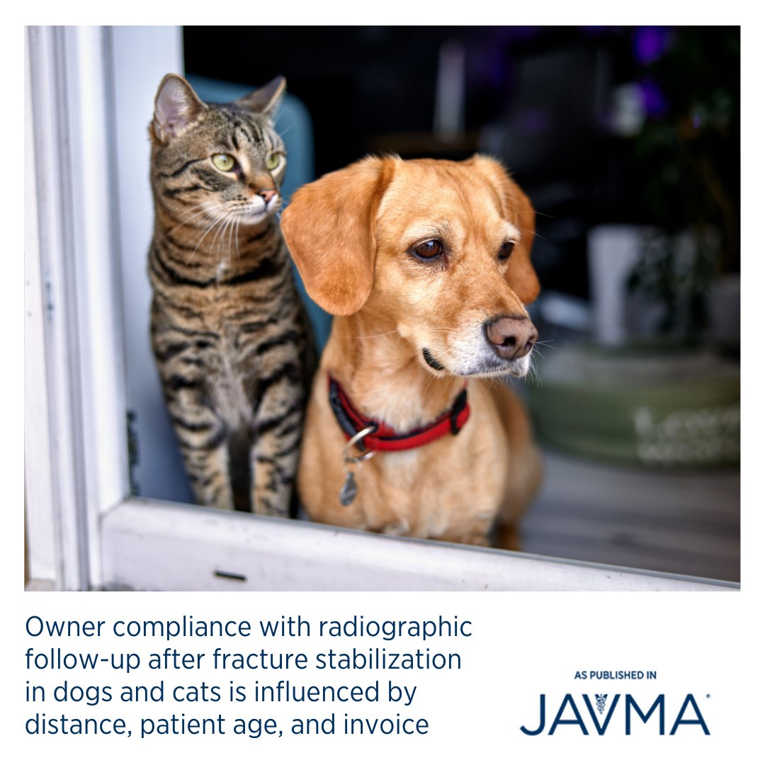 AVMAJAVMA's tweet image. Client investment and economic considerations play central roles in follow-up #compliance. Open access article: jav.ma/compliance @tuftsvet #fracture #followup #orthopedics #recheck