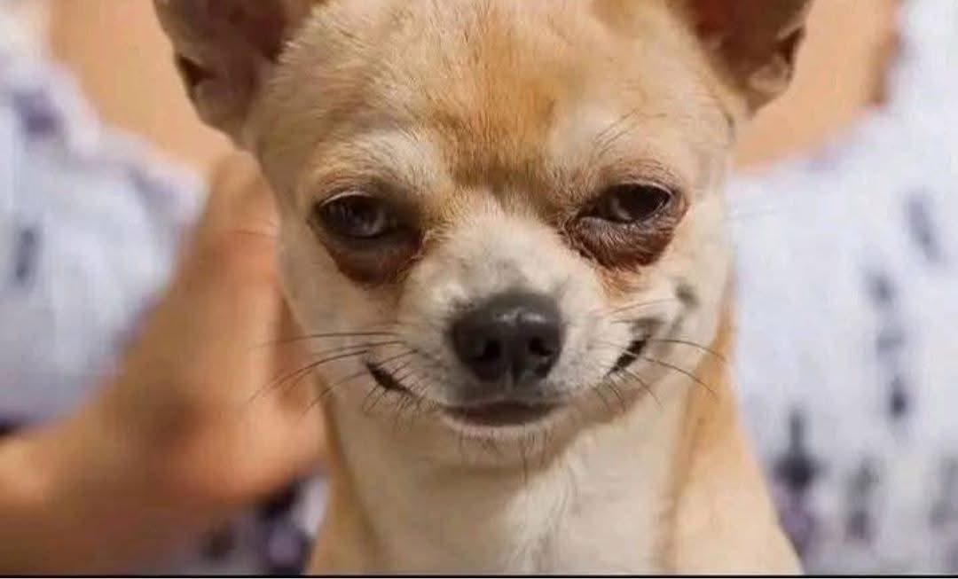 Chimaroke tweet media