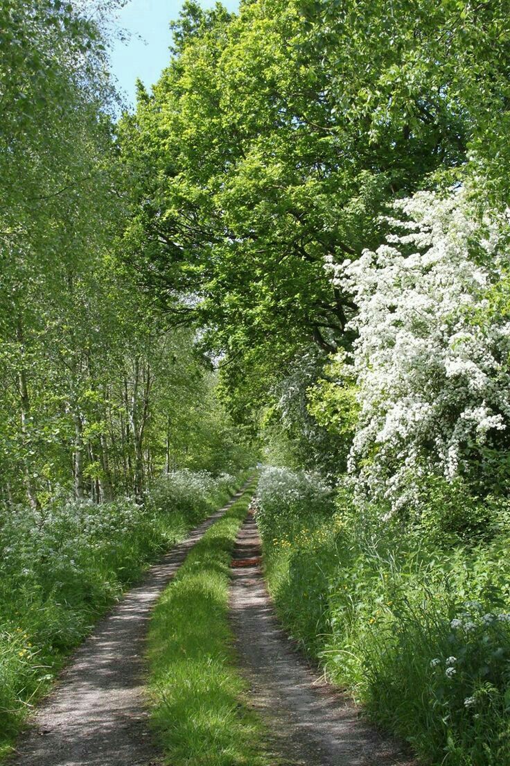 Wa-Bush (@bondzabby) on Twitter photo 