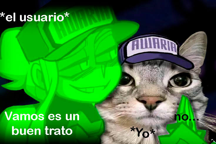 Saki love tweet media