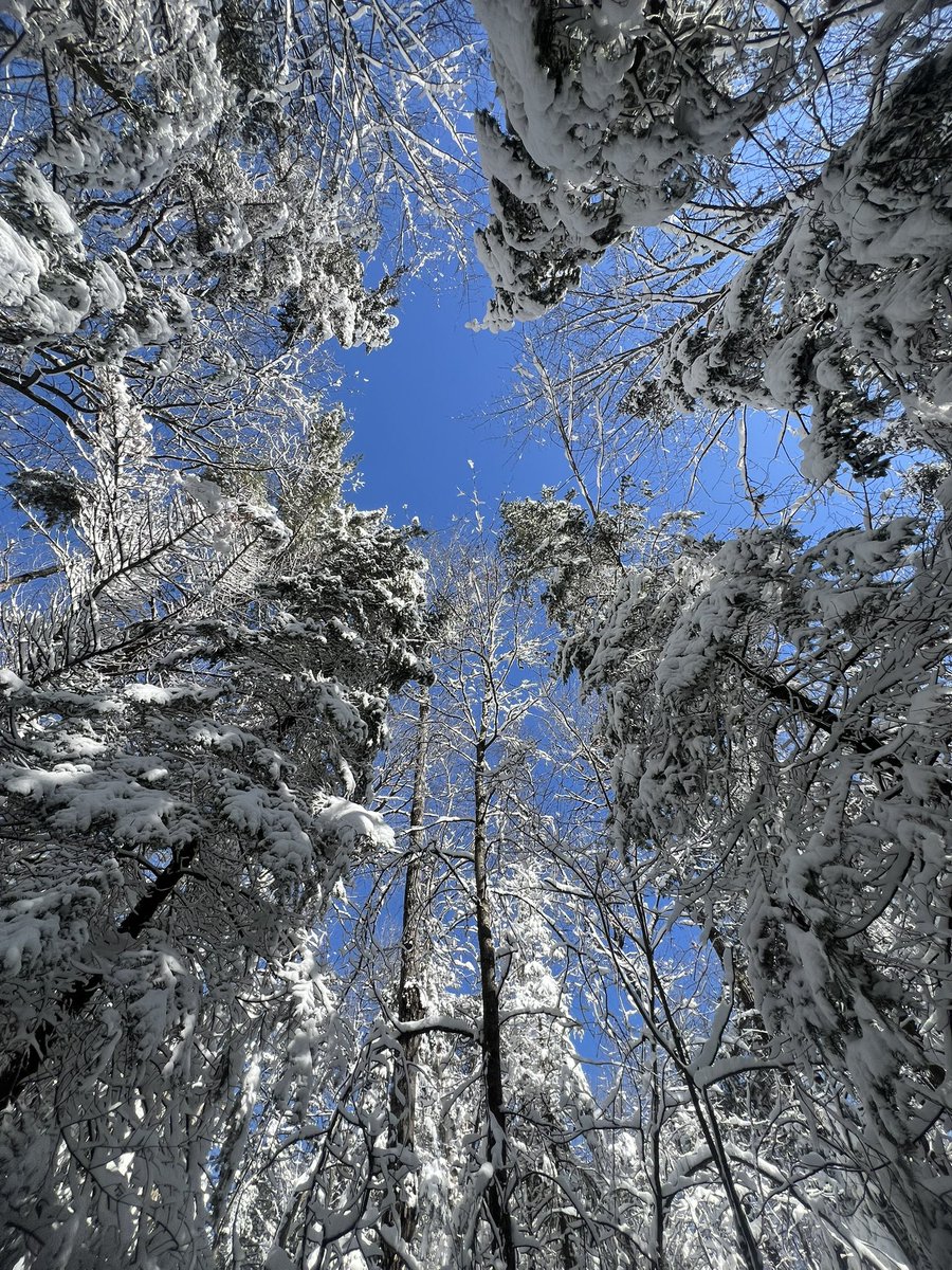 I’m so thankful for my family, my dog, enjoying ~9 years of being alcohol-free &amp; the peace that the snow brings. 

Also thankful for all of those that have made this space great to work and learn in. ILY