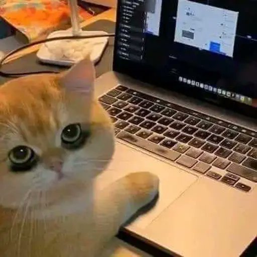 DevDhabz's tweet image. Debugging at 2 AM: 90% coffee, 10% hope, 0% idea what’s going on. ☕🪲 

#DevLife #Debugging #ProgrammerProblems