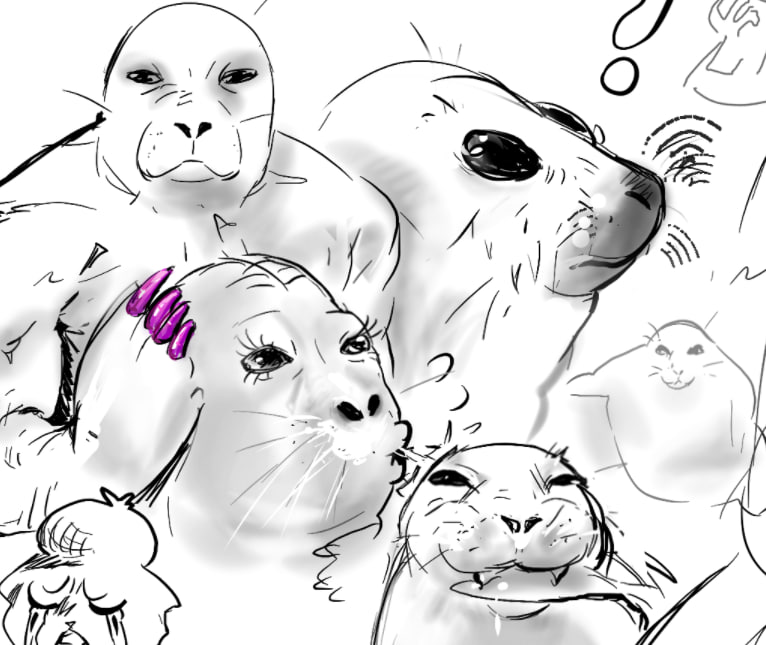 seals 😌 silly seals...