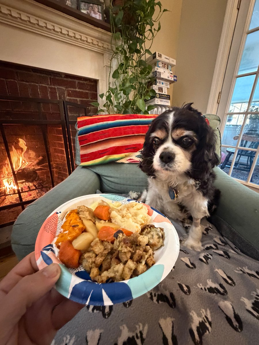 CavalierDexter's tweet image. Happy Thanksgiving everyone 🤎🧡 🍽 🦃 Hope you are all enjoying your day with family and friends. I hope I can finish all of this! 😋😋
#dexter #cavpack #thanksgiving