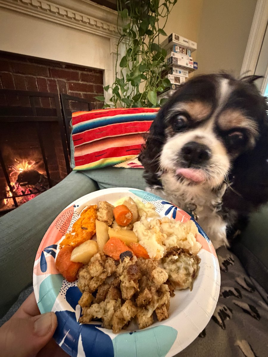 CavalierDexter's tweet image. Happy Thanksgiving everyone 🤎🧡 🍽 🦃 Hope you are all enjoying your day with family and friends. I hope I can finish all of this! 😋😋
#dexter #cavpack #thanksgiving