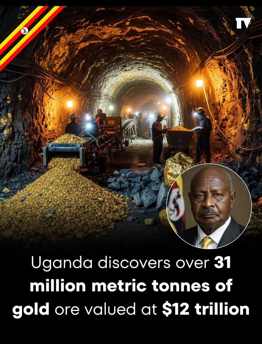 theafroaussie's tweet image. Democracy incoming.