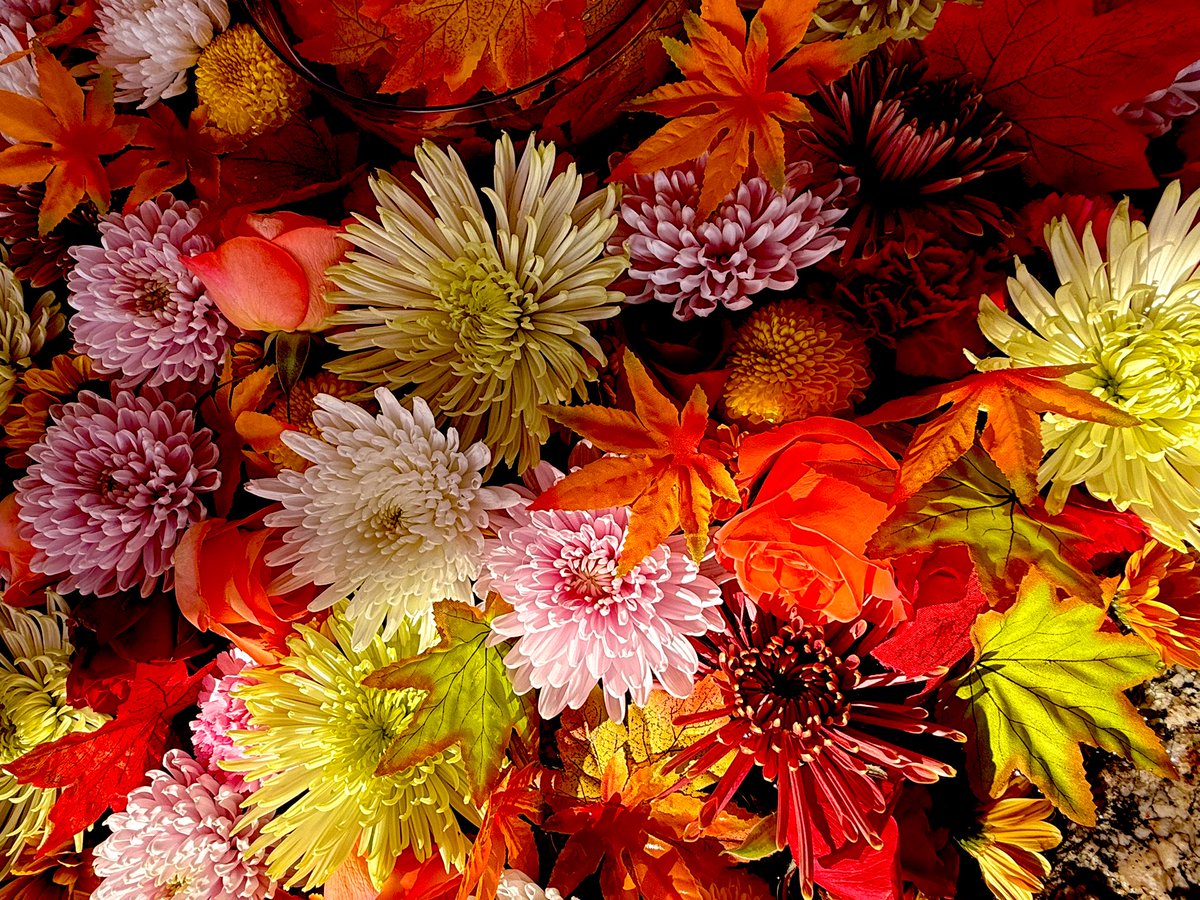 おはようございます🌱🍃❁⃘*. 𓂃✩.*˚

11月28日金曜日🌤️

前線の影響
冬型の気圧配置
北日本や日本海側
雨が降りやすく
雪に変わり
強風や暴風に注意
関東以西は日差しが届く🐈‍⬛🐾
　　
優しい繋がりに感謝します🌱
ありがとうございます💖

今日も宜しくお願いします🌸

素敵な一日を☘️❁⃘*. 𓂃✩.