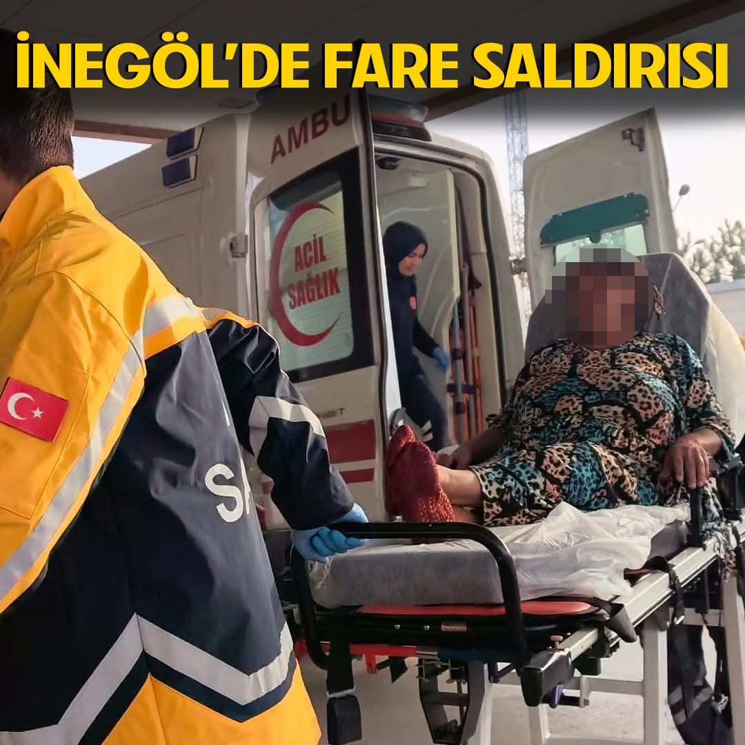 Ekosistemi bozduğunuzda o korktuğunuz kara veba başınızın belası olacak 

Sokaklar kedi ve köpeklerin doğal yaşam alanıdır. 

insanla iç içe yaşayan evcil türlerin habitatı toplumun ve kent dokusunun kendisidir.  
Sokaklar bu ilişkinin somut mekanıdır. 

#ZulmeOrtakOlmayacağız