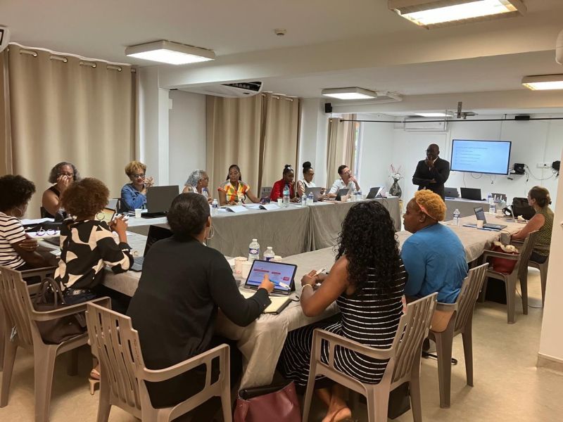 💡2ème journée de formation avec les #SSIAD de #Martinique sur la réforme des Services Autonomie à Domicile organisée par la <a href="/FEHAPAG/">FEHAP Antil.-Guyane</a> et l'<a href="/ArsMartinique/">@ARS_Martinique</a>. 
Deux jours pour plonger au cœur des transformations #juridique, #managériale, #économique, #structurelle … 
#SAD #domicile