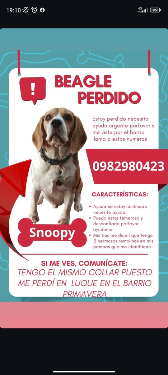 Se busca ayuda con RP 🙏🐾