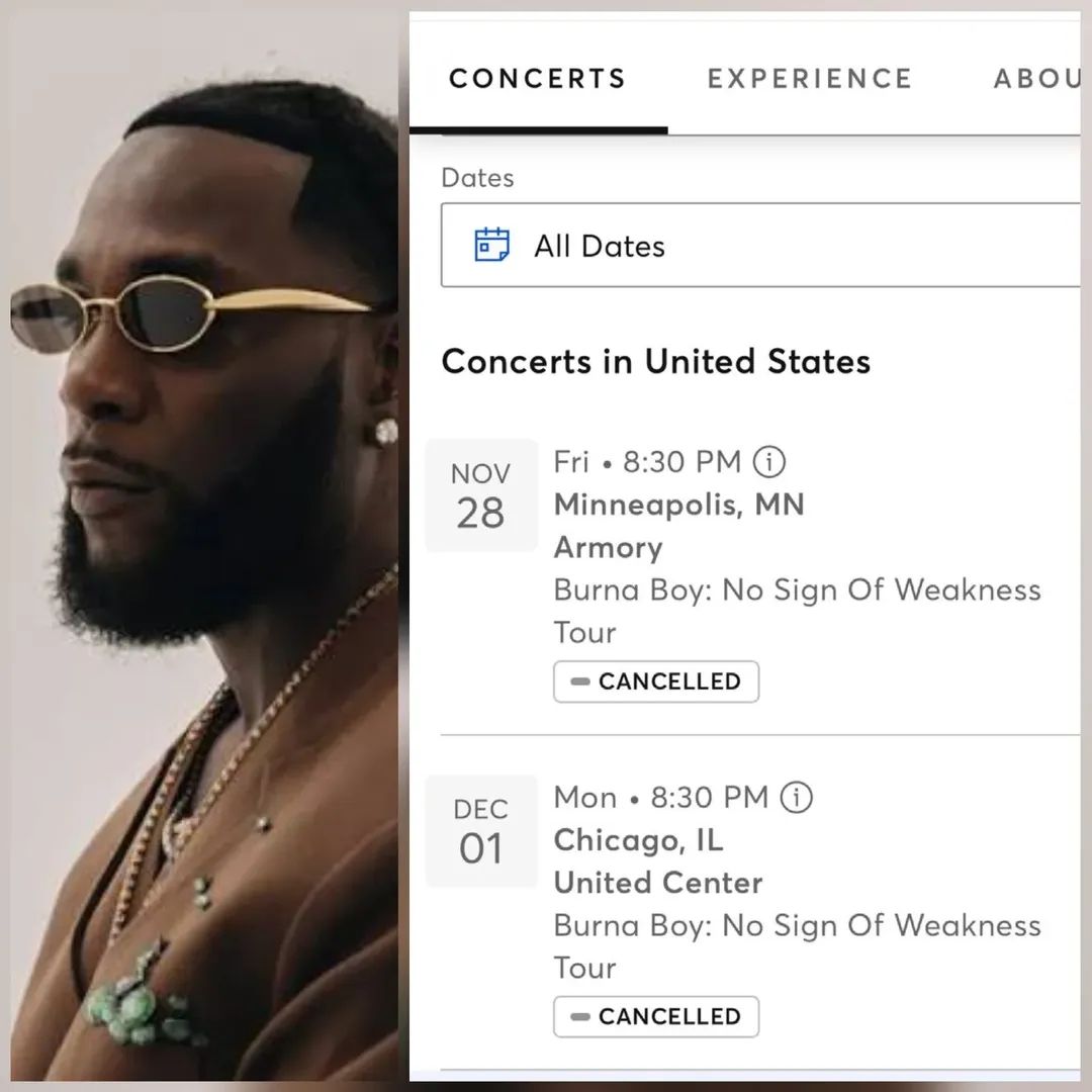 Burnaboy cancels concert in Minneapolis and Chicago