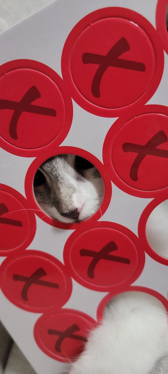 OptimisticEmo tweet media