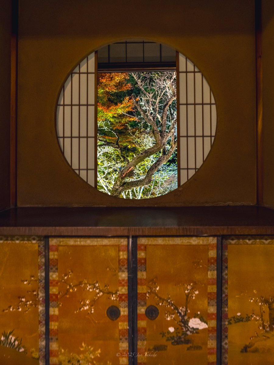 man_tac's tweet image. 京都雲龍院さん・秋の特別拝観ライトアップ②✨🍁
2025.11.24撮影

#京都よきかな 
Leica SL2-S x SIGMA 28-105mm F2.8 DG DN | Art
