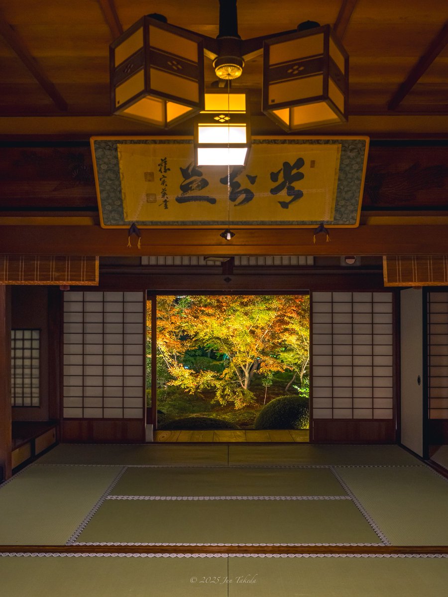 man_tac's tweet image. 京都雲龍院さん・秋の特別拝観ライトアップ②✨🍁
2025.11.24撮影

#京都よきかな 
Leica SL2-S x SIGMA 28-105mm F2.8 DG DN | Art
