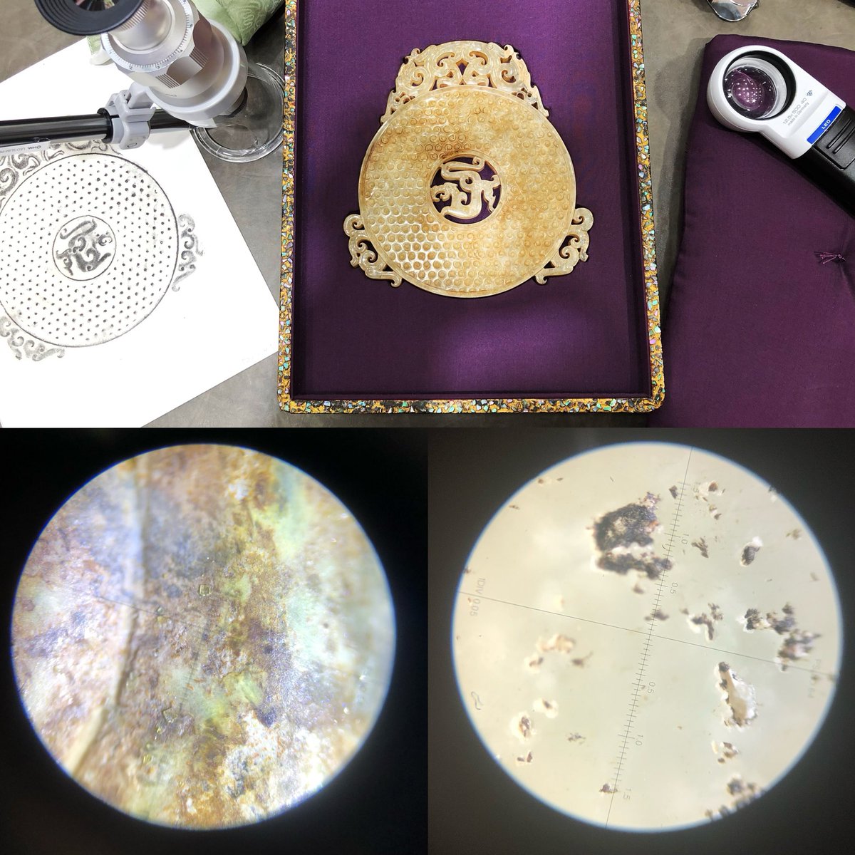 Eva WAN ༀ𓁿𝕐 tweet media