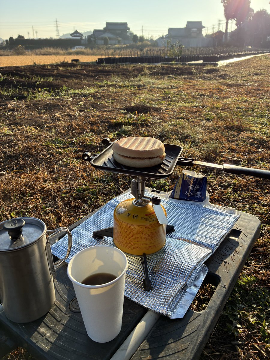 1000本のオリーブポットに水やりして、畑で朝食をとる。
これができる男のモーニングルーティン😎