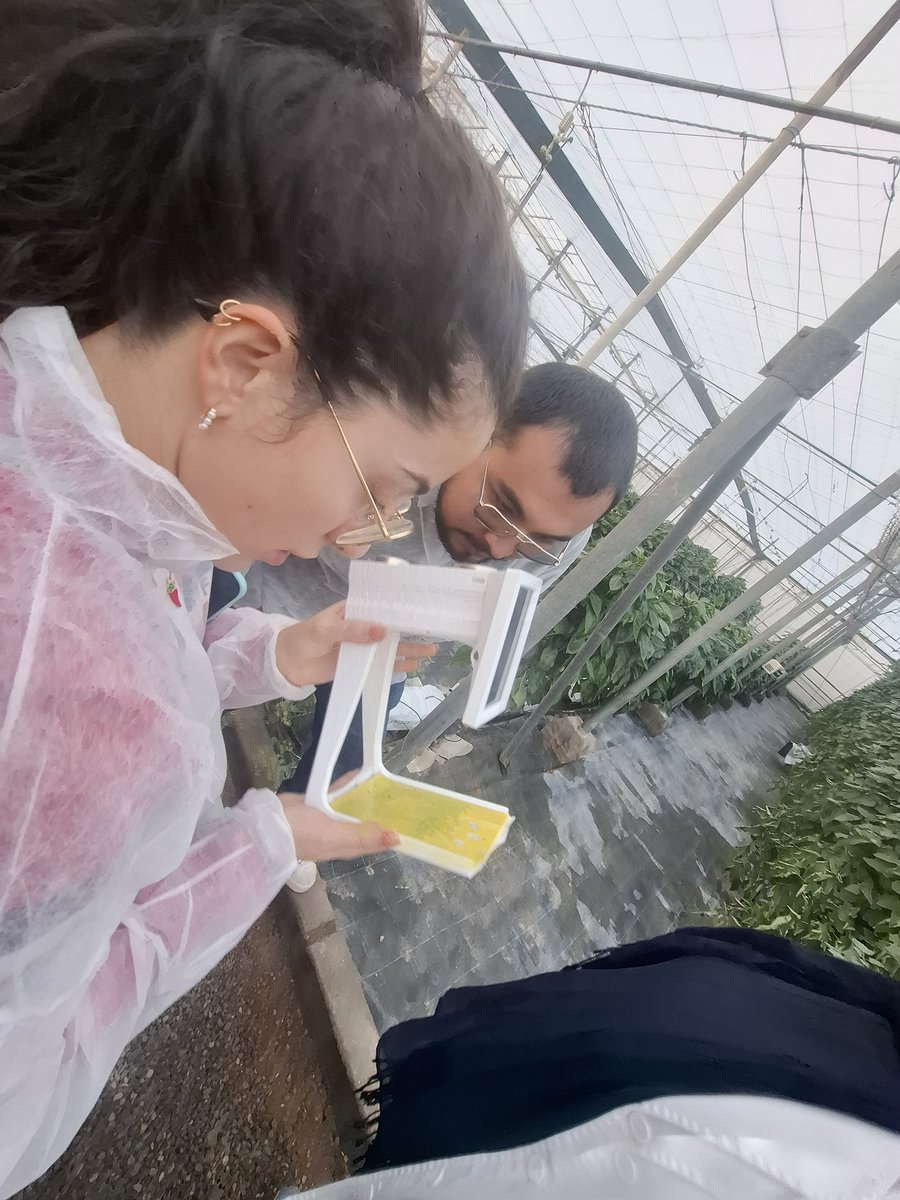 Estupenda visita Estación Experimental Las Palmerillas de <a href="/Cajamar/">Grupo Cajamar</a>
El cuidado y entusiasmo con que trabajan la #BioeconomíaCircular vinculada al agroecosistema almeriense se perciben nada más llegar. <a href="/ualmeria/">Universidad de Almería</a> <a href="/cei_A3/">ceiA3</a> <a href="/WEARE_Research/">WEARE</a> <a href="/CordobaCiencia/">UCCi Córdoba</a> <a href="/PacoEgeaUAL/">Paco Egea</a> <a href="/MacarioRE/">Macario RE</a>