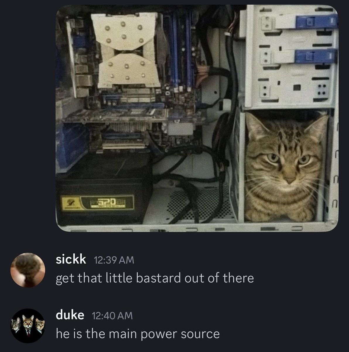 PunchingCat's tweet image. 