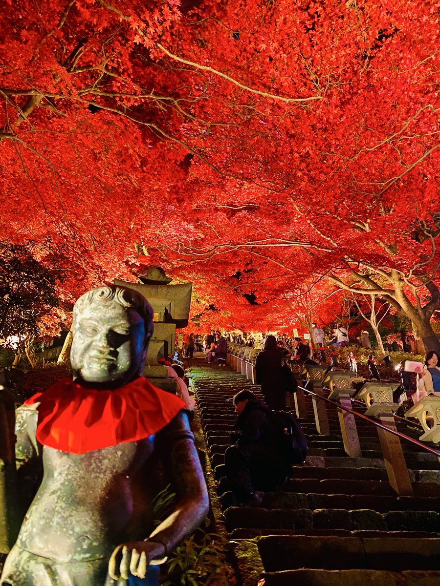 HAL (@zx6r_mama) / Posts / X