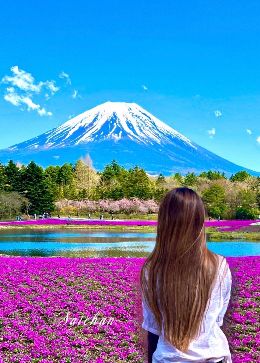 みっちゃんZX-14R (@ym025) / Posts / X