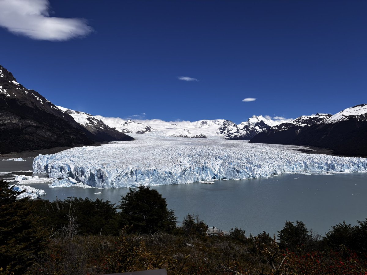 yilmaz_btc's tweet image. 1000 like and I’ll lick it