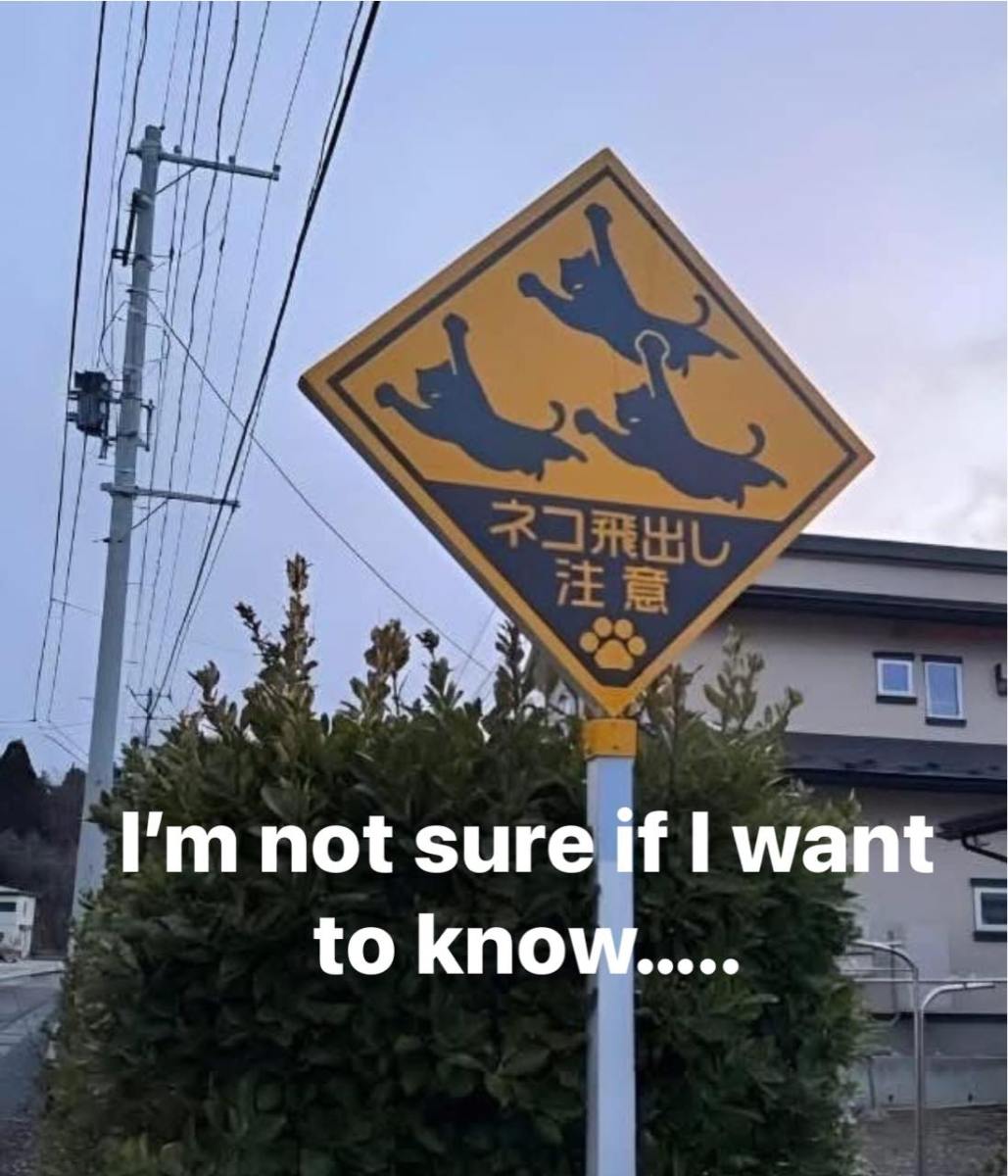 Joe 🇺🇸🤘😎🤘🇺🇲 (@ozzjoe) on Twitter photo 