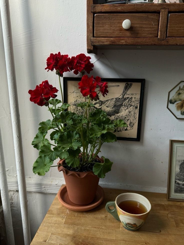 𝓐• (@fullofftearss) on Twitter photo 