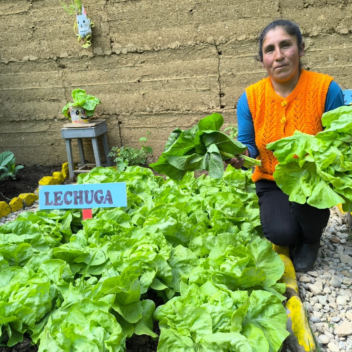 #Junín | ❄️ Diez fitotoldos fueron entregados e inaugurados en el distrito de Paccha (Jauja), beneficiando a igual número de familias, como parte de las acciones que ejecuta Agro Rural del Midagri en el marco del Plan ante Heladas y Friaje.

🌱#AgroQueAbriga