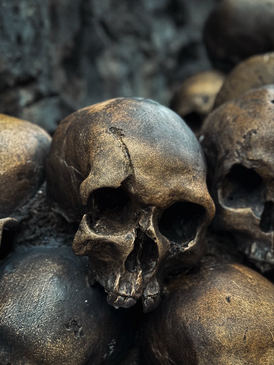 evanantoniomp's tweet photo. #vanitas encontradas en Isla Aventura de Universal https://t.co/hhGFDLyLoA