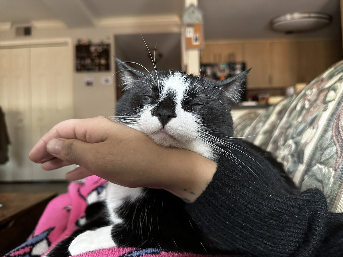 missbitchbootsy's tweet image. food coma 😴