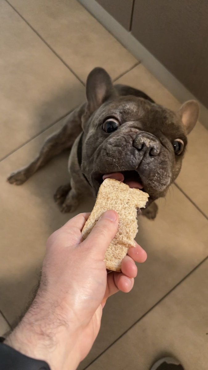 Fetuchini  tweet media