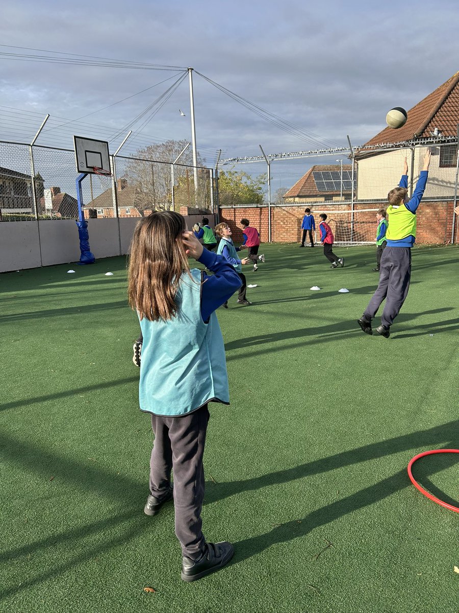 Minerva Academy tweet media