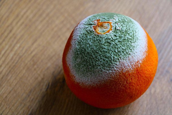 '
كُنْتُ أراك نقيّاً صالحًا ‘ فمَا الّذي 
دنّسك وأفسدك !
.
#بوح_الصورة 
#وود_وايت
#راعي_النظر 
#قطار_الرياض